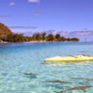 Meet your Posher, Aaron